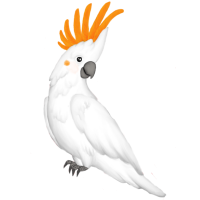 Lórika - Aranyosarcú kakadu